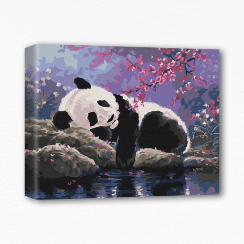 Keretre feszített számfestő - Alvó panda
