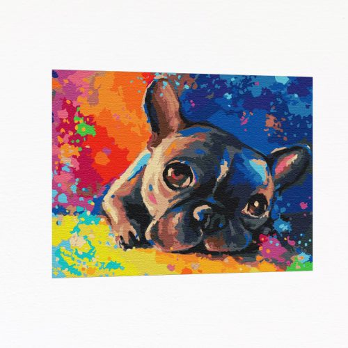 Számfestő készlet - Bulldog kiskutya