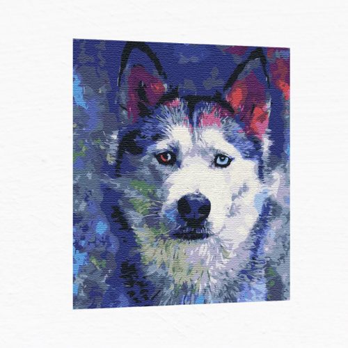 Számfestő készlet - Husky kutya