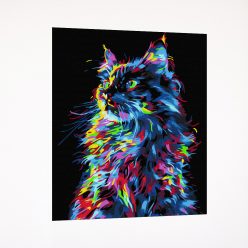 Számfestő készlet - Színes cica fekete vásznon